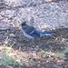Robin Wadsworth Photo 14