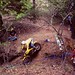 David Pyle Photo 44