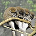 Roger Daley Photo 15