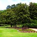 John Callaway Photo 28