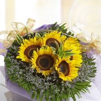 Thanhvan Dinh Photo 3