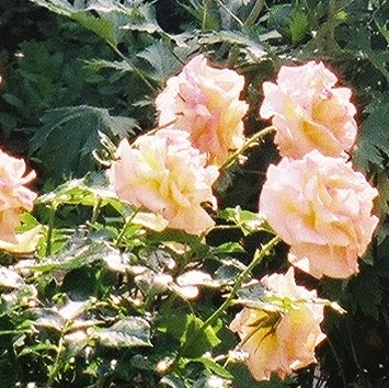 Bill Herring Photo 18
