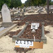 John Allard Photo 37
