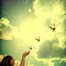 Katherine Freed Photo 6