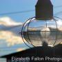 Elizabeth Fallon Photo 27