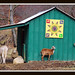 Nancy Sparks Photo 27