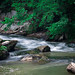 Bobbie Poole Photo 11