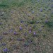 John Parks Photo 26