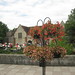 Susan Samson Photo 22