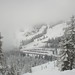 Steven Snow Photo 20