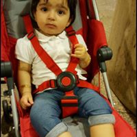 Muhammad Javaid Photo 30
