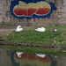 Nancy Swan Photo 21