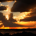 Mark Topf Photo 7