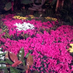 Juana Mendez Photo 12