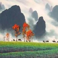 Harry Tsai Photo 4