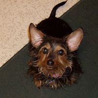 Theresa Kraus Photo 13