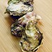 Julie Buckley Photo 27
