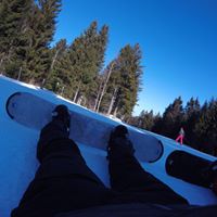 Bobby Robins Photo 16