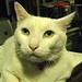 Christopher Robin Photo 42