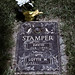David Stamper Photo 43
