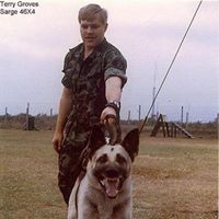 Terry Groves Photo 35