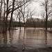 Kelly Ford Photo 16
