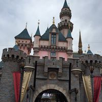 Allison Porter Photo 48