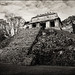 Frederick Conte Photo 8