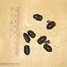 Chong Xiong Photo 32
