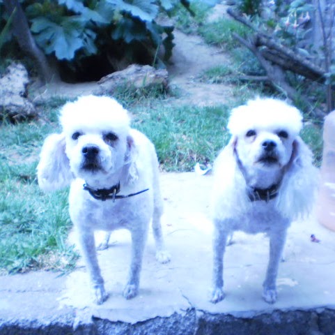 Sandra Montes Photo 22