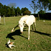 Paula Bates Photo 17