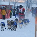 Robert Sexton Photo 38