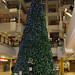 Carol Fink Photo 21