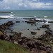 Linda Stark Photo 15
