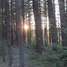Renee Woods Photo 30