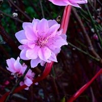 Thuan Dinh Photo 22