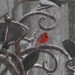 Greg Leavitt Photo 13