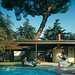 Julius Price Photo 16