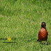 Robin Hubert Photo 24