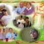 Linda Ratliff Photo 22