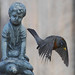 Robin Littleton Photo 9