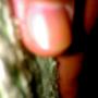 Ahmed Shahbaz Photo 2