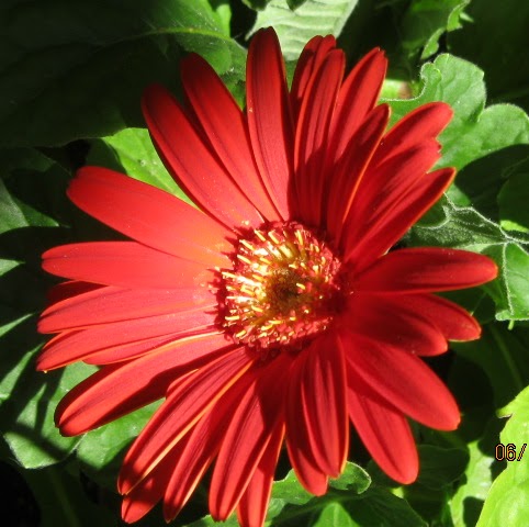 Heather Christensen Photo 32