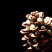 Gloria Olivera Photo 8