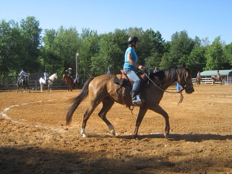 Christine Macdonald Photo 35
