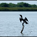 Ricardo Maya Photo 12
