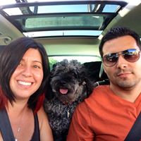 Darlene Silva Photo 8