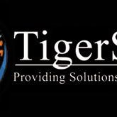 Tiger Swan Photo 3