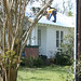 Joanne Quarles Photo 5