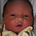 Ann Kelly Photo 47